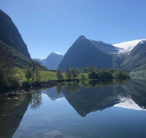 Kjøsnes Feriehytter Skei  Exterior foto