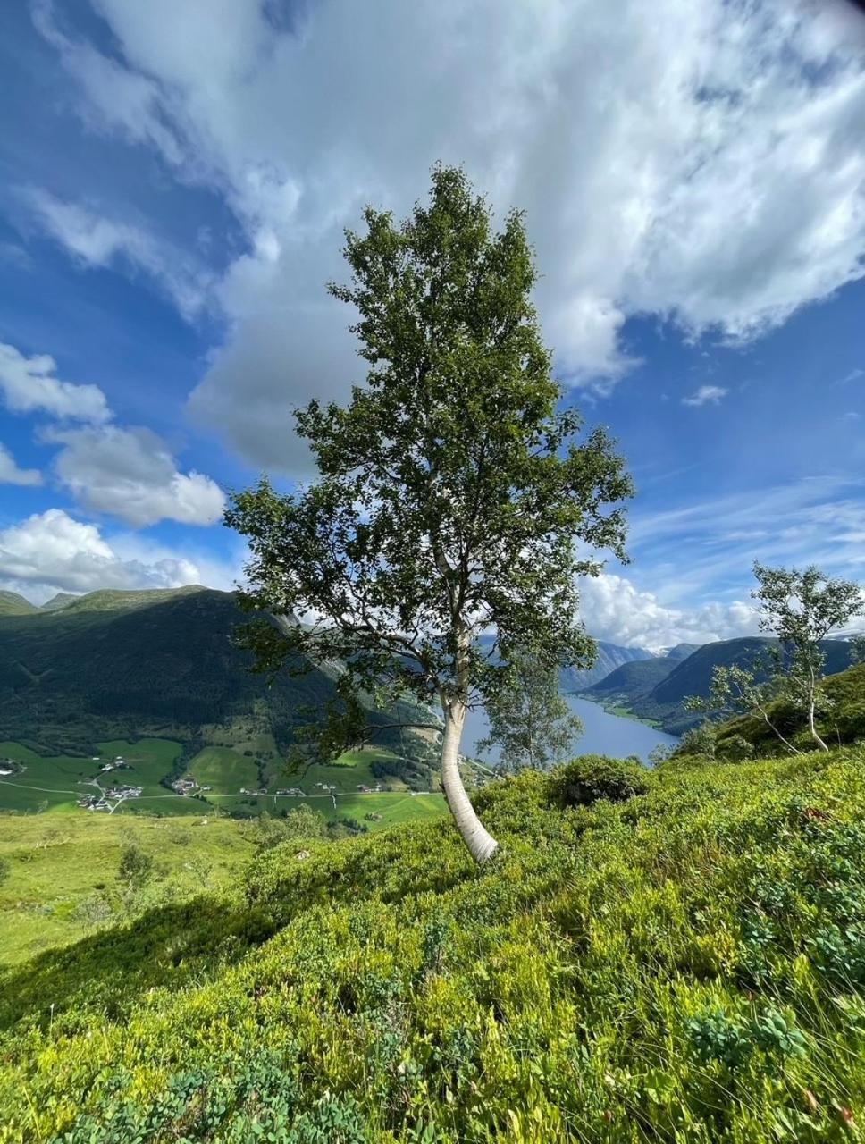 Kjøsnes Feriehytter Skei  Exterior foto